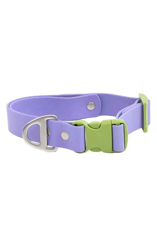 Lavender Garden Waterproof Dog Collar