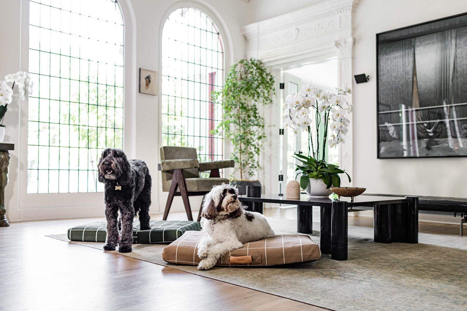 Lay Lo Tan Grid Dog Bed Dogs