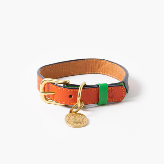 Dog collar with orange, green, and blue leather sections on a white background