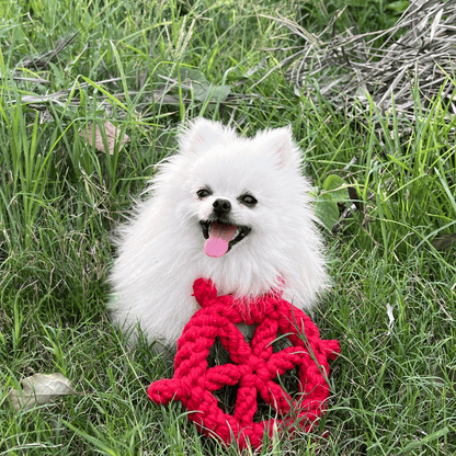 Lucky Red Wheel Dog Rope Toy Dog