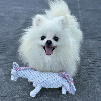 Luna the Eco-Friendly Unicorn Rope Toy Dog