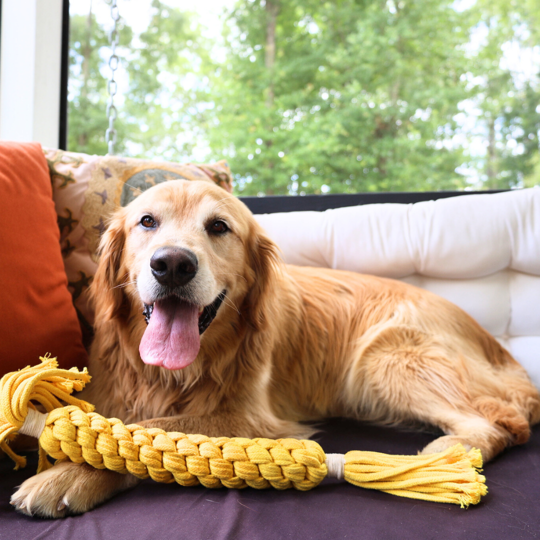 Macrame Yellow Rope Tug Toy
