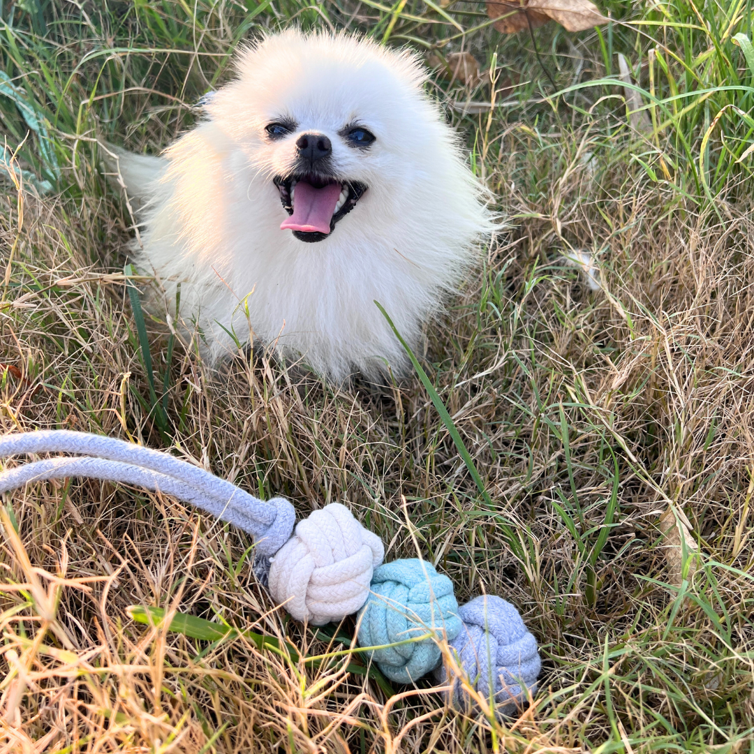 Mint Ice Cream Rope Balls Dog Tug Toy Dog