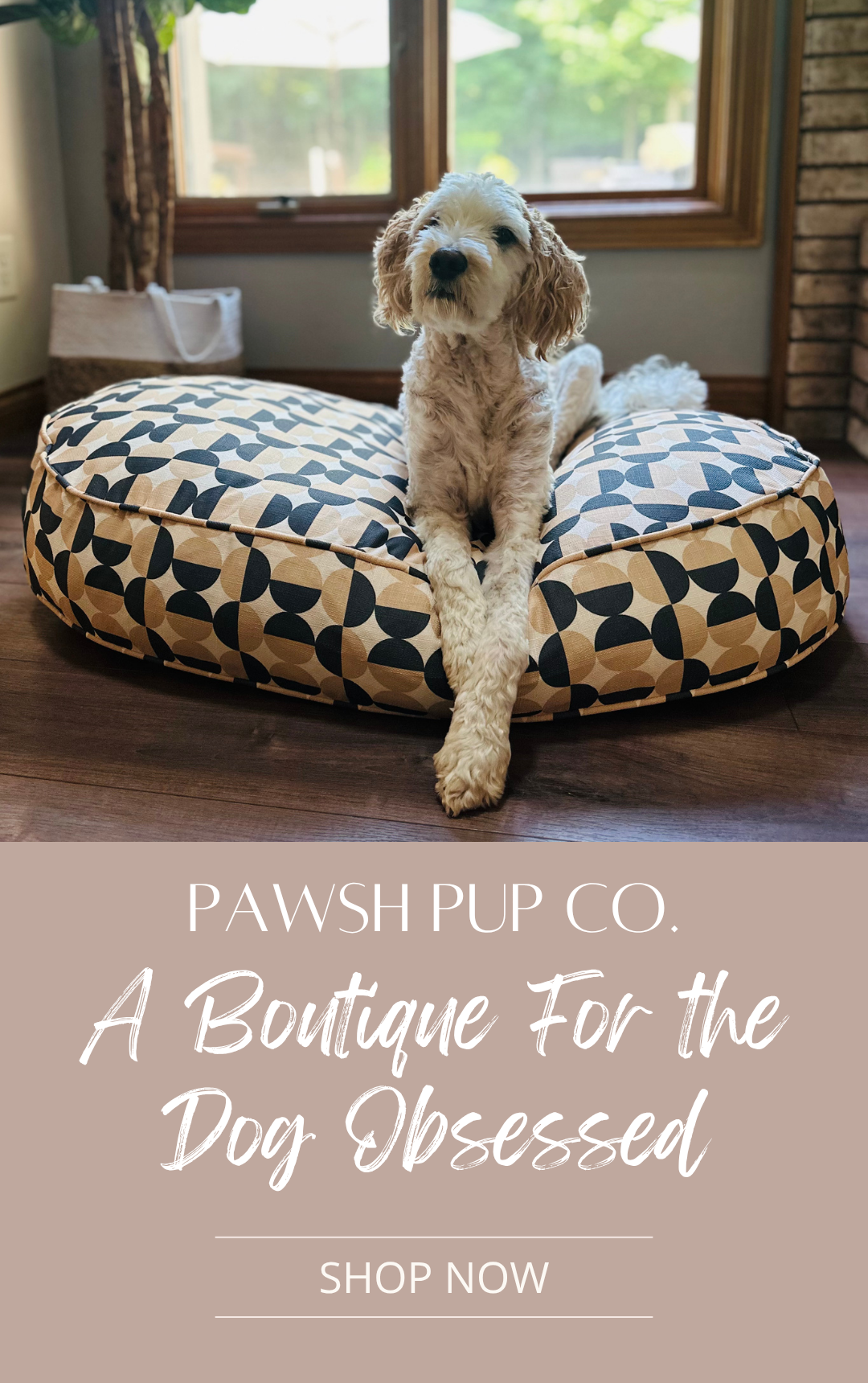 Dog on bed with Pawsh Pup Co A Boutique for the Dog Obsessed and Shop Now button