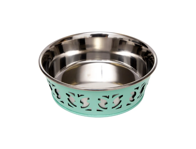 Stainless steel pet bowl with decorative turquoise base on a white background