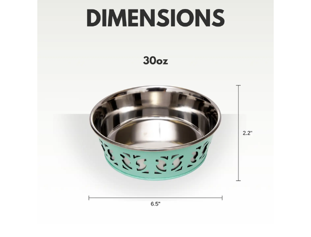 Teal and silver pet bowl with dimensions on a white background