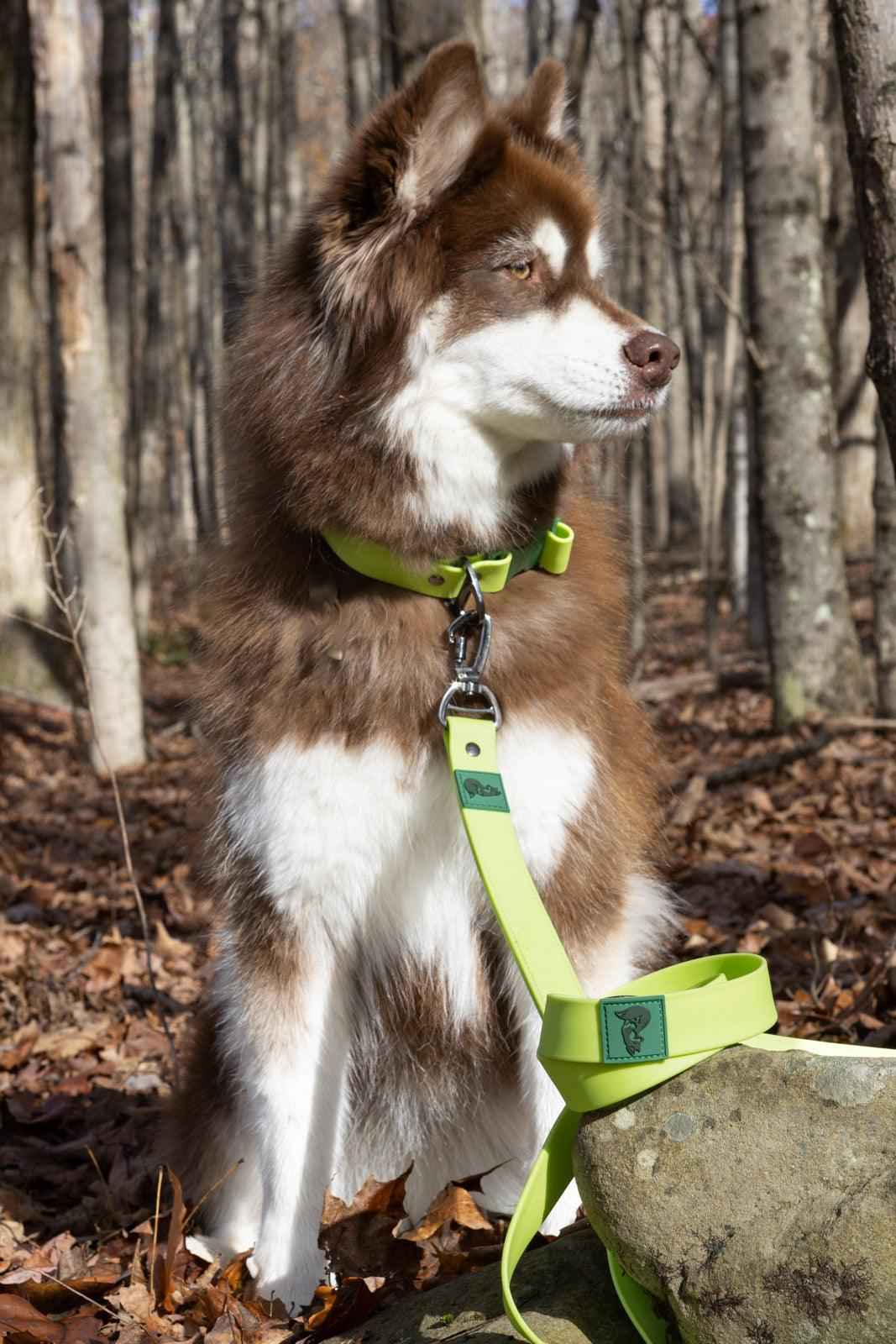 Mossy Pine Waterproof Dog Leash