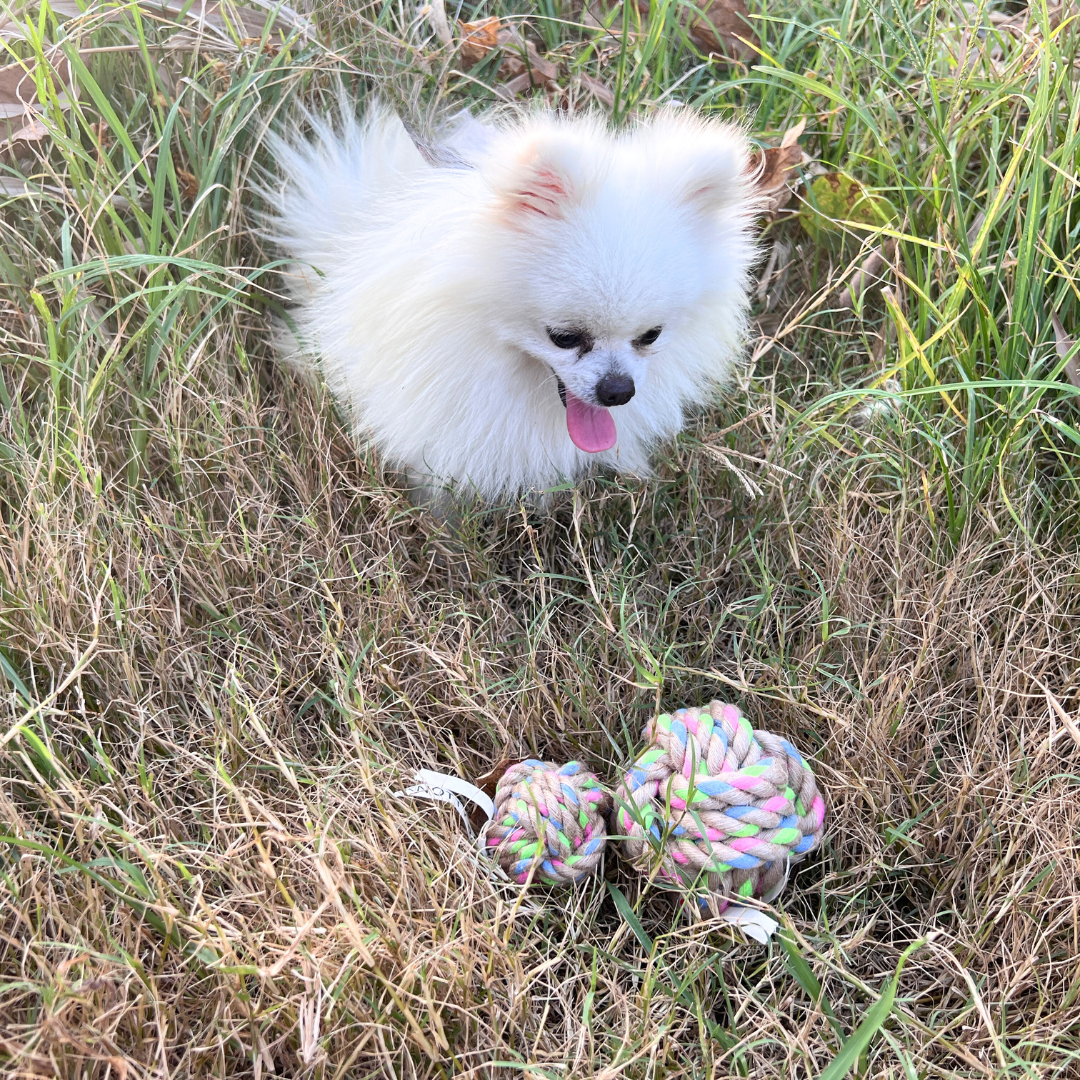 Natural Hemp Rope Ball 2 Sizes Dog