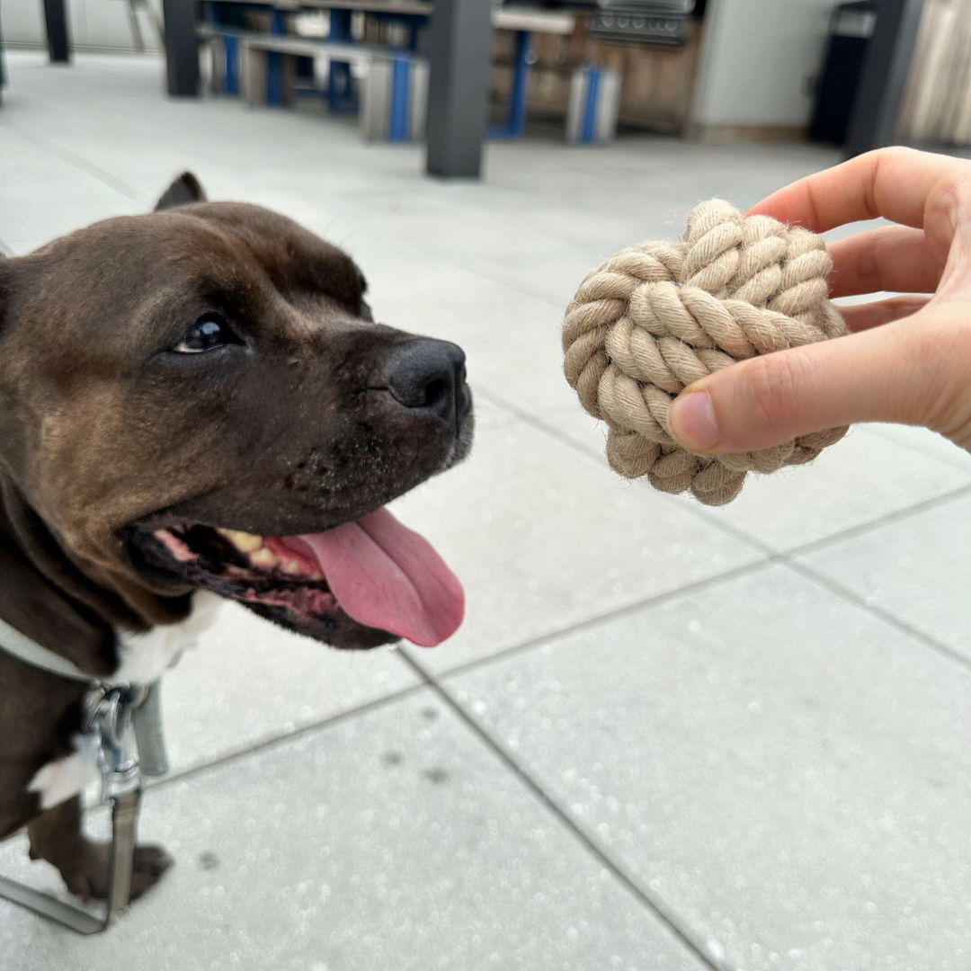 Natural Hemp Rope Ball Dog