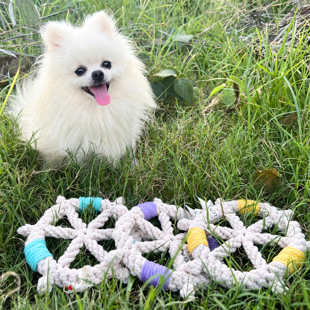 Nautical Rope Ship Wheel Dog Toy Dog