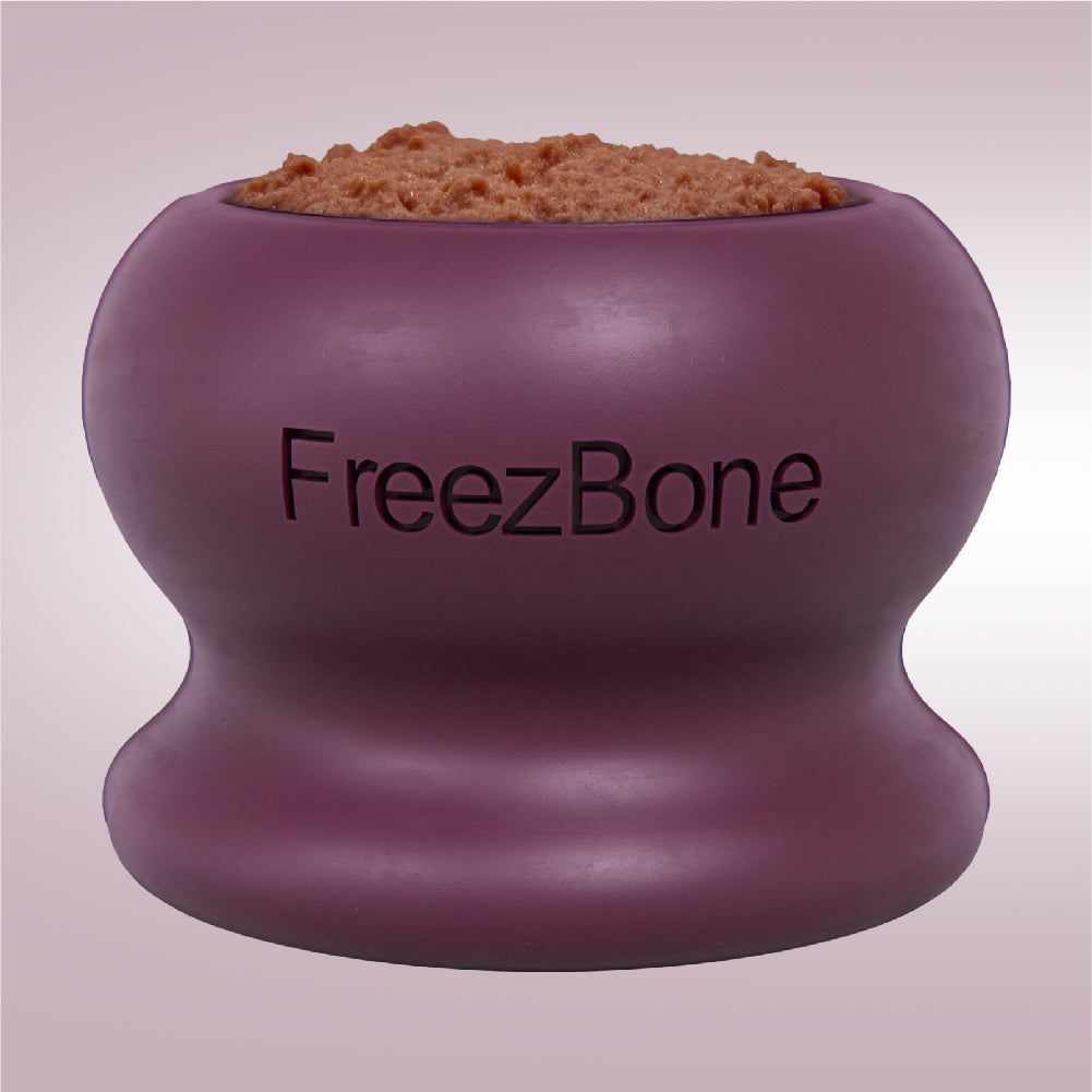 Purple FreezBone container with pet food on a light purple background