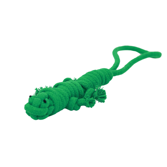 Owen the Green Lizard Rope Tug Toy