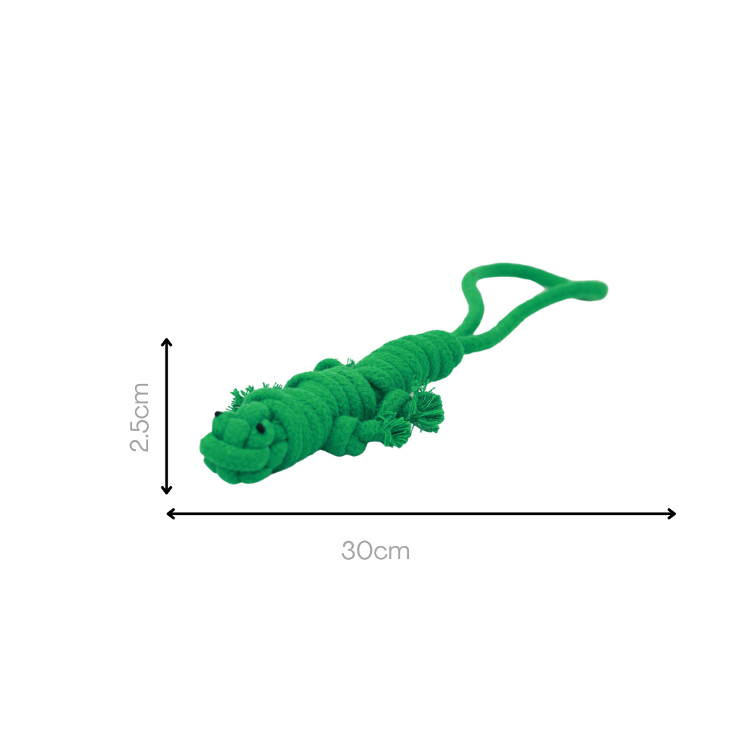 Owen the Green Lizard Rope Tug Toy Size