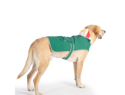 Pendleton Waterproof Dog Raincoat