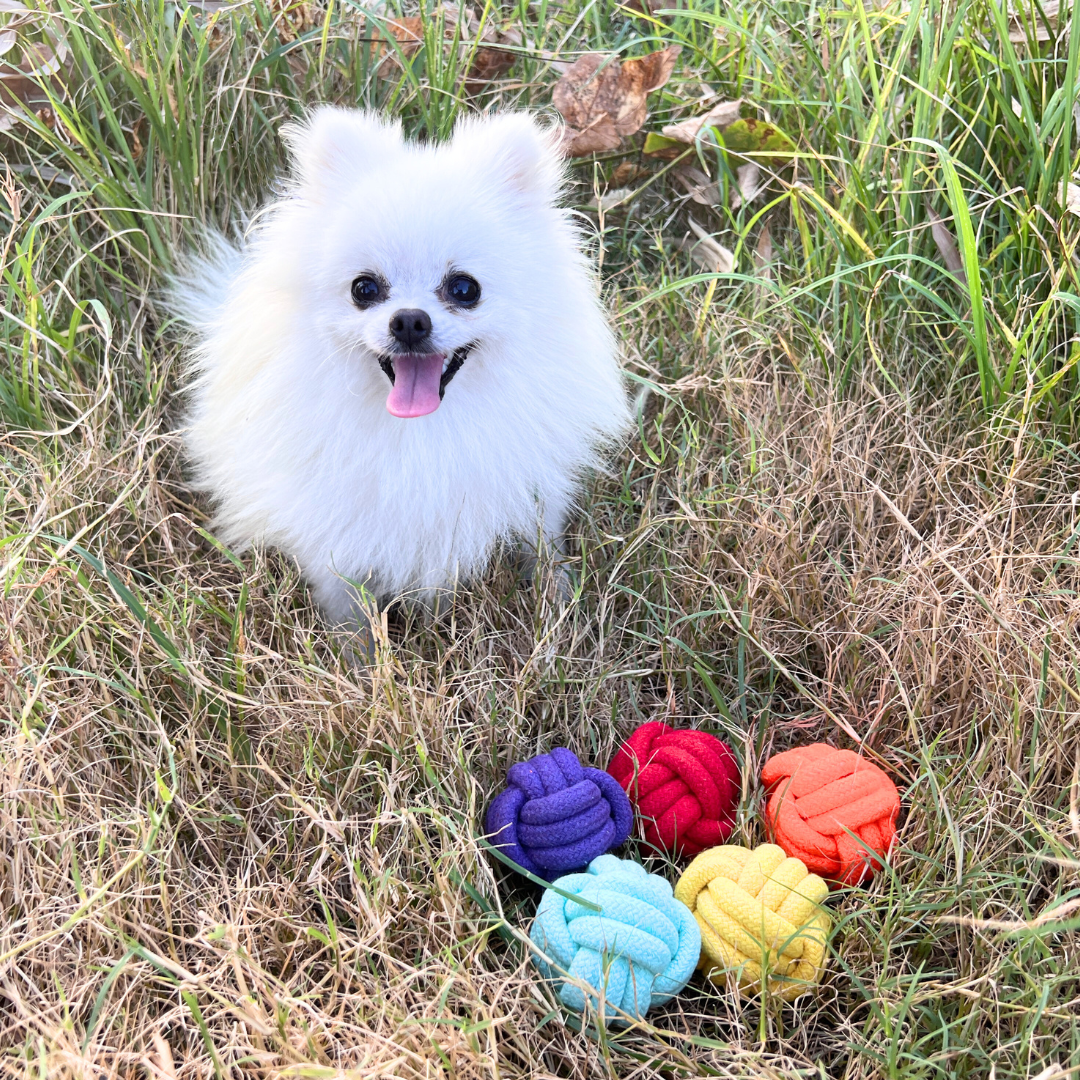 Petite Pup Rainbow Rope Ball Set Dog