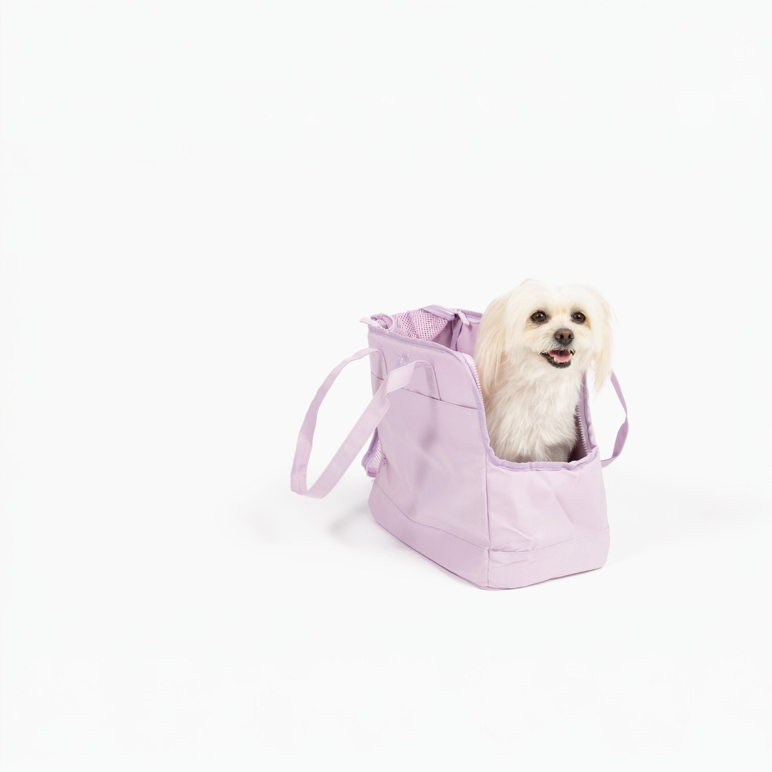 Small white dog peeking out of a light purple pet carrier on a white background