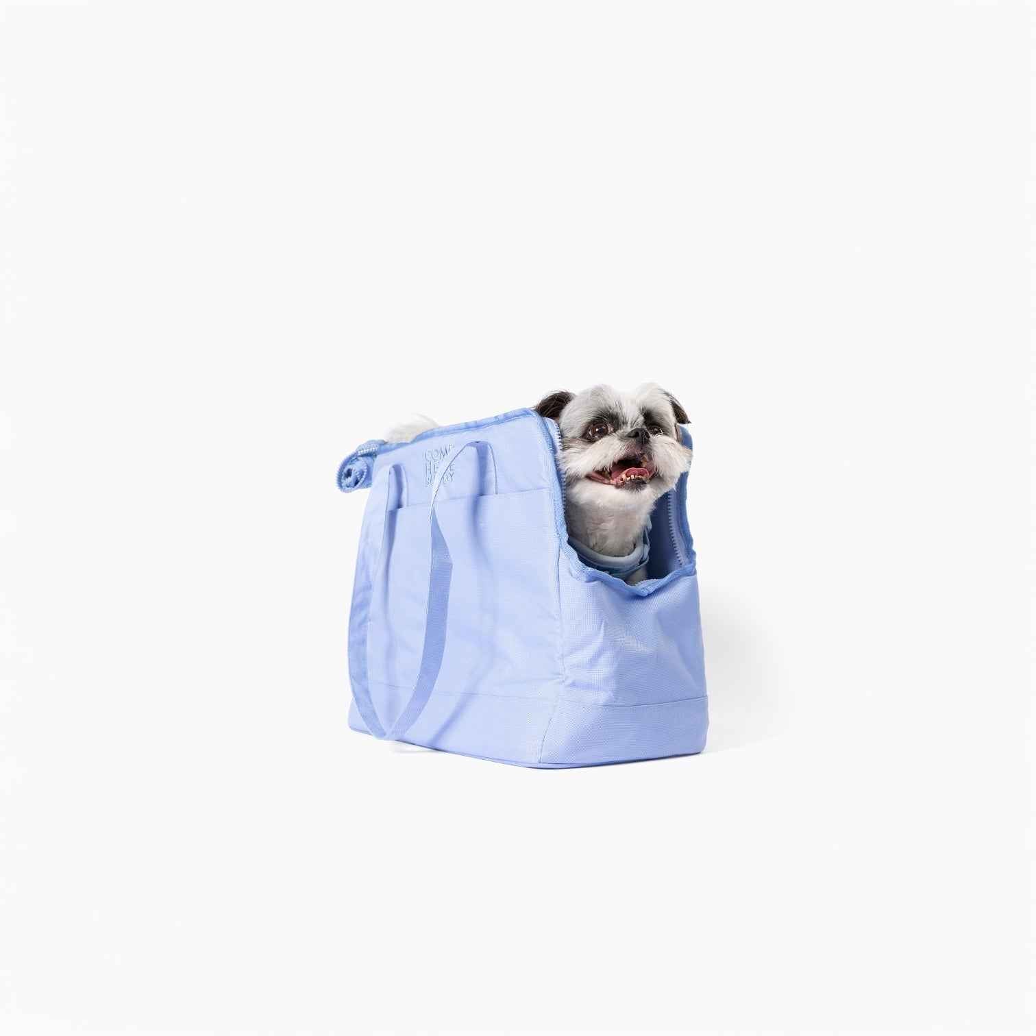 Come Here Buddy Pet Tote Bag in light blue with small dog inside