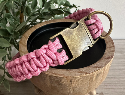 Pink paracord dog collar with brass buckle on a wooden surface with plants in the background