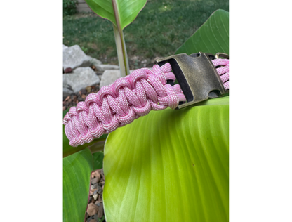 Pink braided dog collar with a metal buckle on a green leaf background