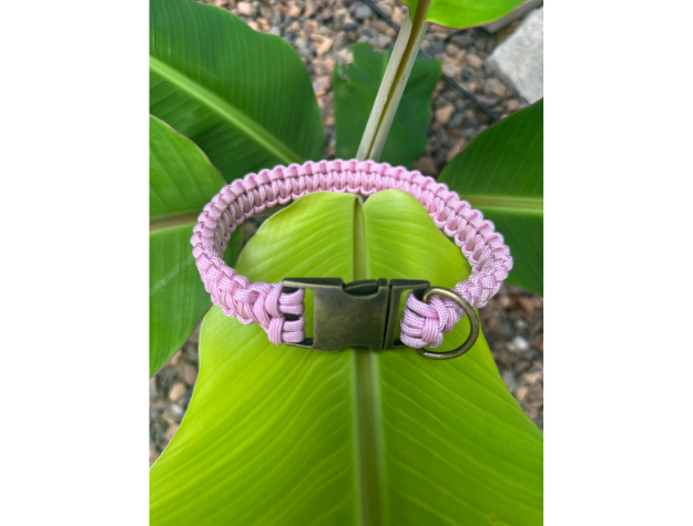 Pink paracord dog collar with metal clasp on a green leaf