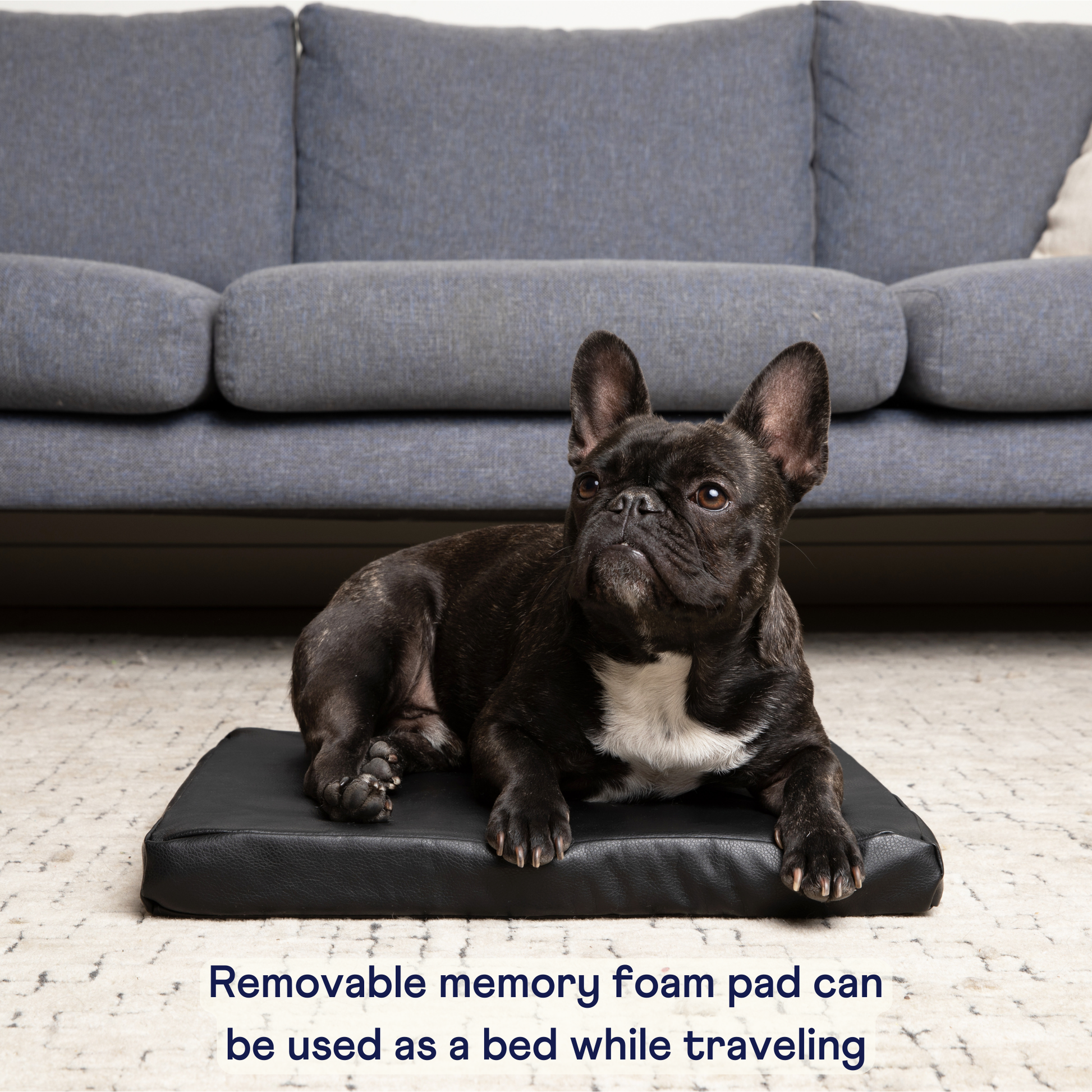 PupProtector™ Faux Leather Memory Foam Dog Car Bed in Black Removable Memory Foam Pad