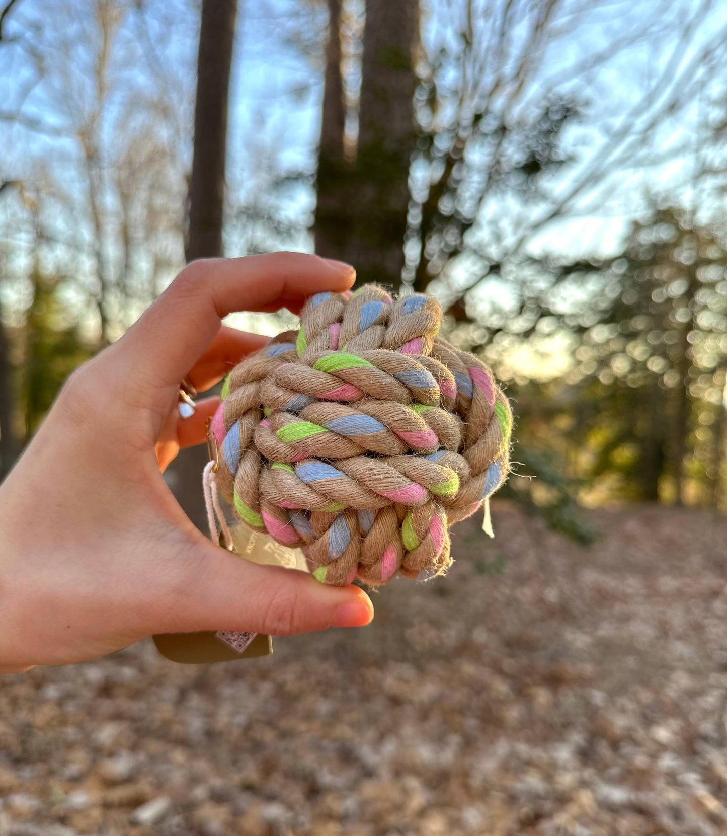 Hand holding a colorful braided rope toy with a blurred natural background