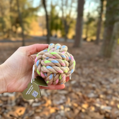 Hand holding a colorful braided rope toy with a blurred natural background