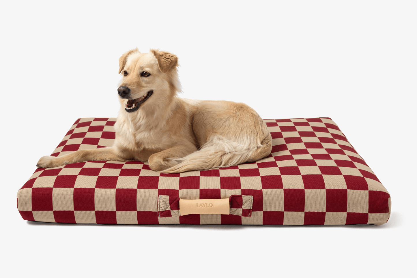 Red Checker Orthopedic Dog Bed with Dog