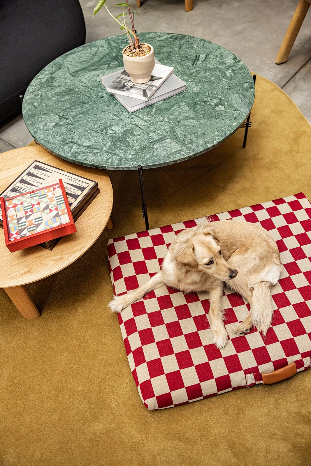 Red Checker Orthopedic Dog Bed with Dog