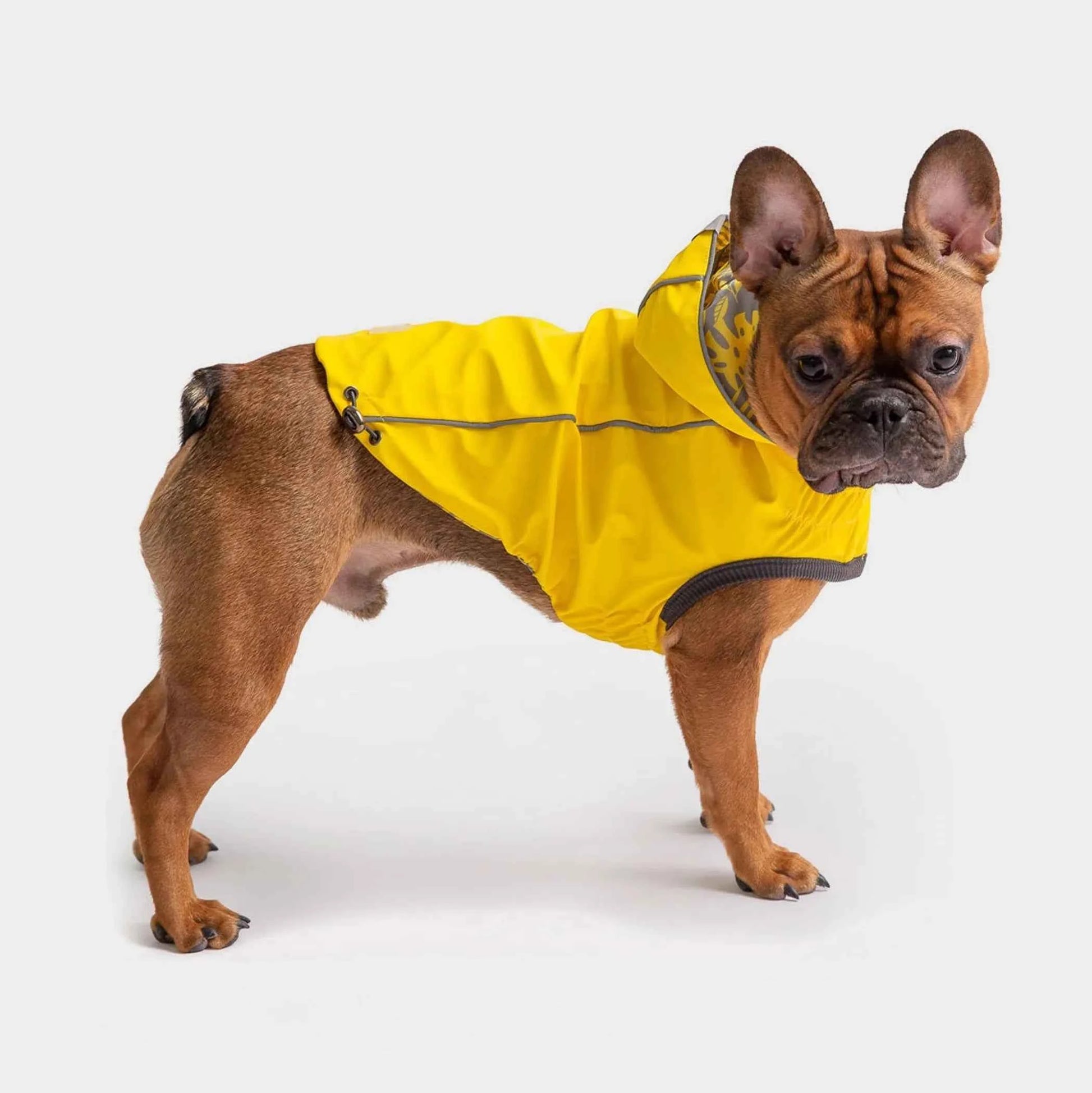 Reversible ElastoFit™ Waterproof Dog Raincoat - Multiple Colors