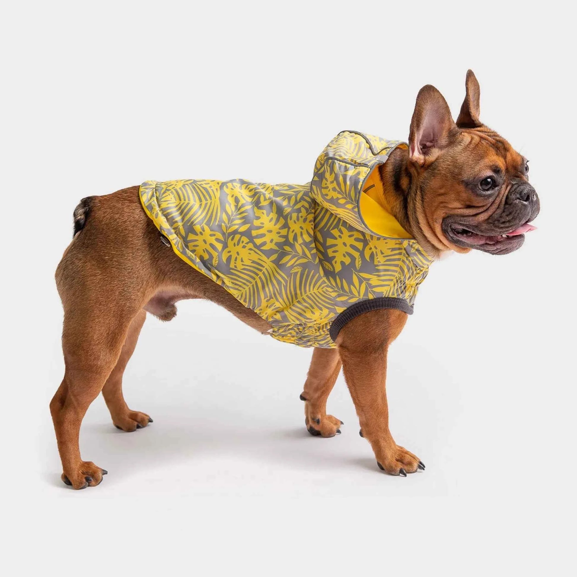 Reversible ElastoFit™ Waterproof Dog Raincoat - Multiple Colors