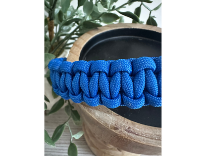 Blue braided dog collar on a wooden surface with green leaves in the background