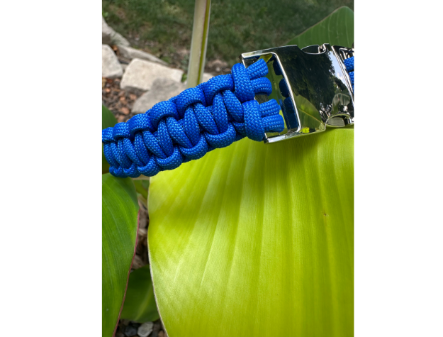 Blue paracord dog collar with a silver clasp on a green leaf