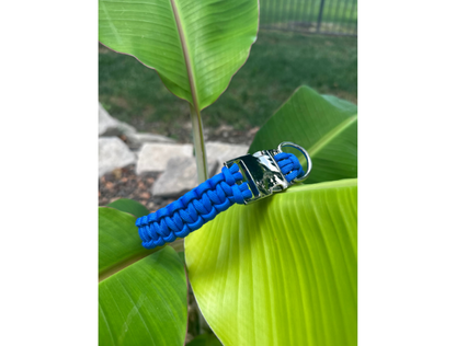 Blue paracord dog collar with silver buckle on a green leaf