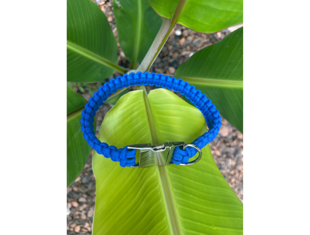 Blue braided dog collar on a large green leaf