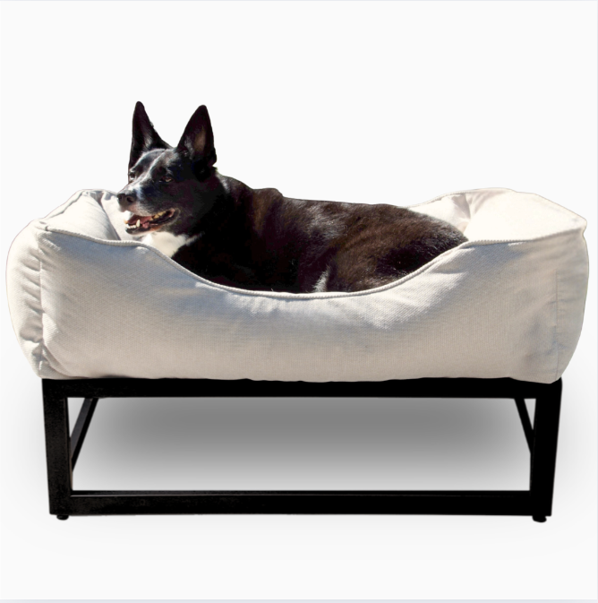 Dog lying on a white pet bed with a black frame against a white background
