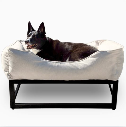 Dog lying on a white pet bed with a black frame against a white background