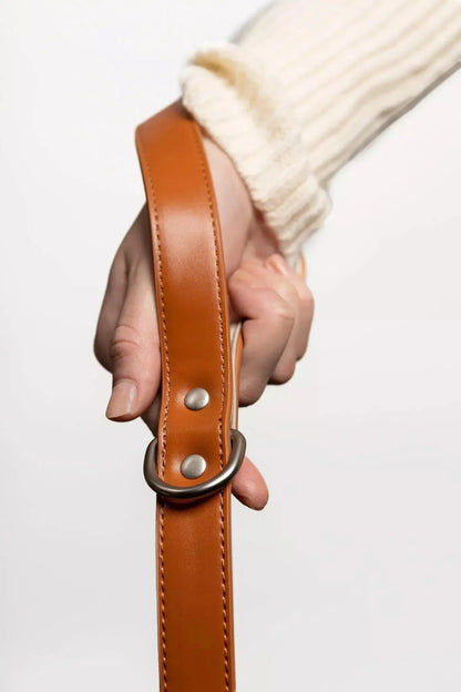 Brown leather leash strap with metal buckle held by a hand against a white background