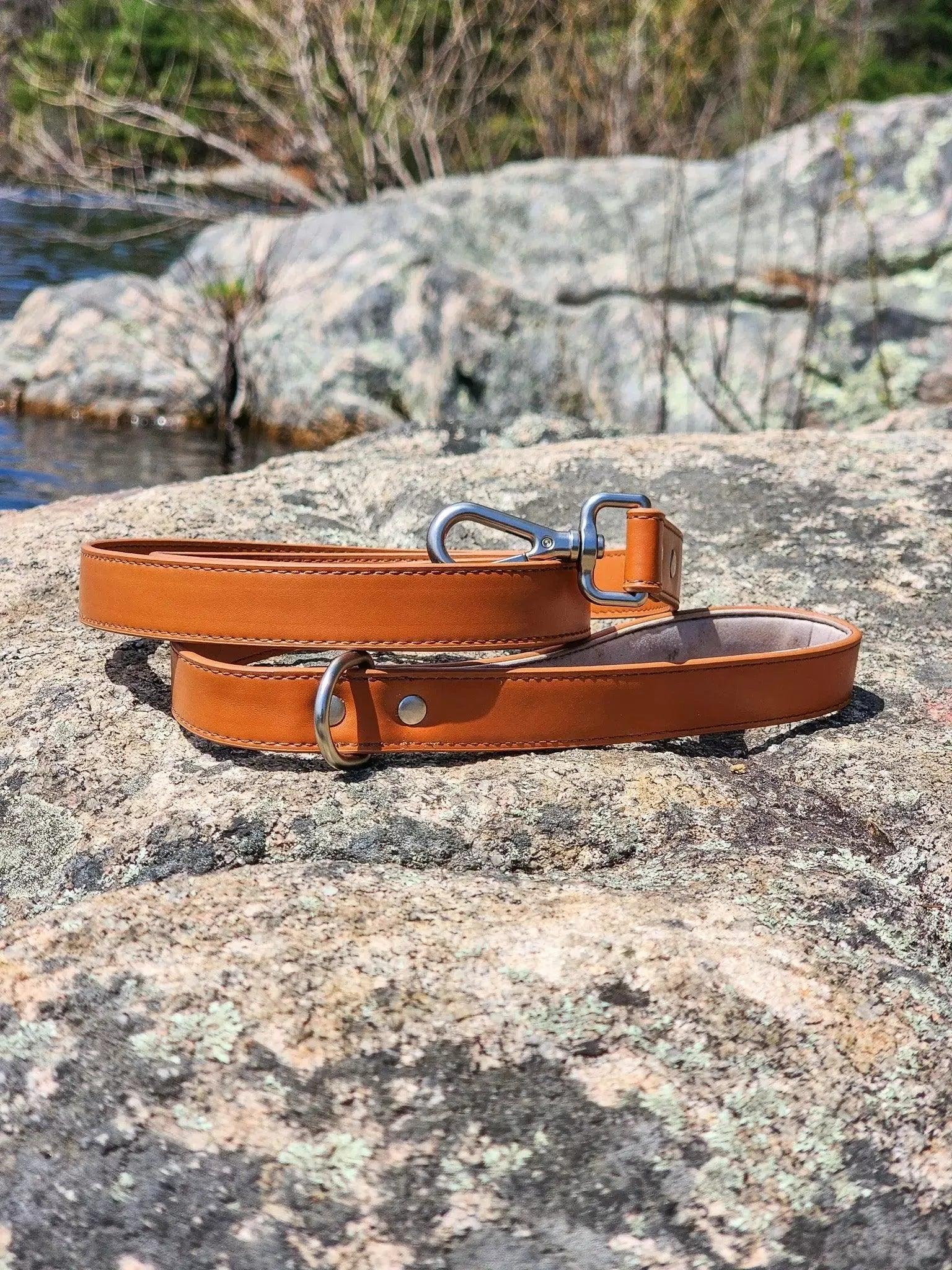 Brown leather dog collar on a rocky surface with water and plants in the background