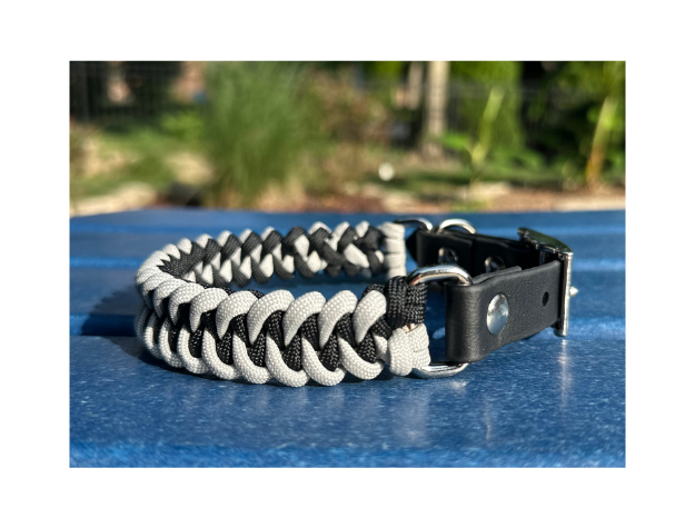 Paracord dog collar with black metal buckle on a blue surface