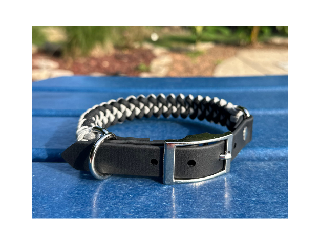 Black biothane dog collar with silver hardware on a blue surface