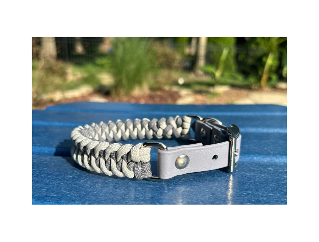 Paracord dog collar with metal buckle on a blue surface with greenery in the background