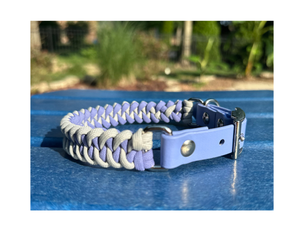 Coiled collar and purple dog collar on a blue surface with a blurred natural background
