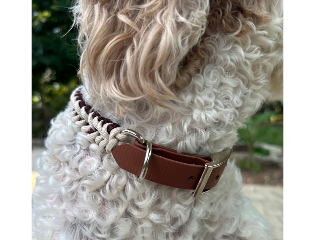 Dog wearing a brown biothane collar with a metal buckle, standing outdoors.