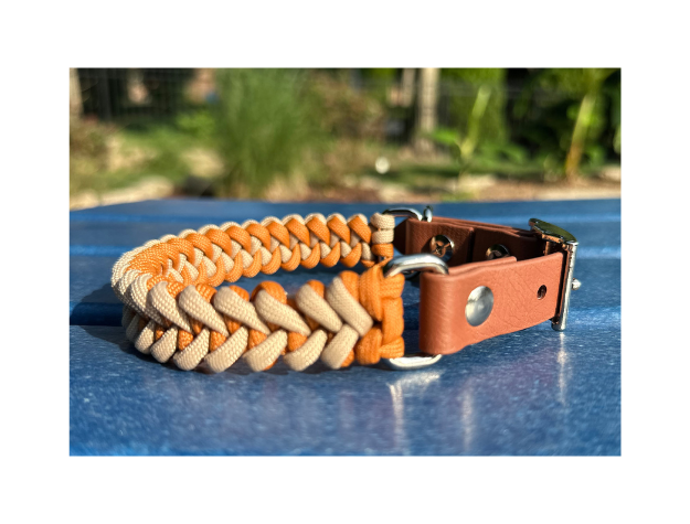 Orange and cream braided dog collar on a blue surface with a blurred natural background
