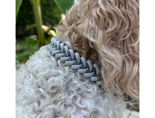 Dog wearing a braided collar with a blurred natural background