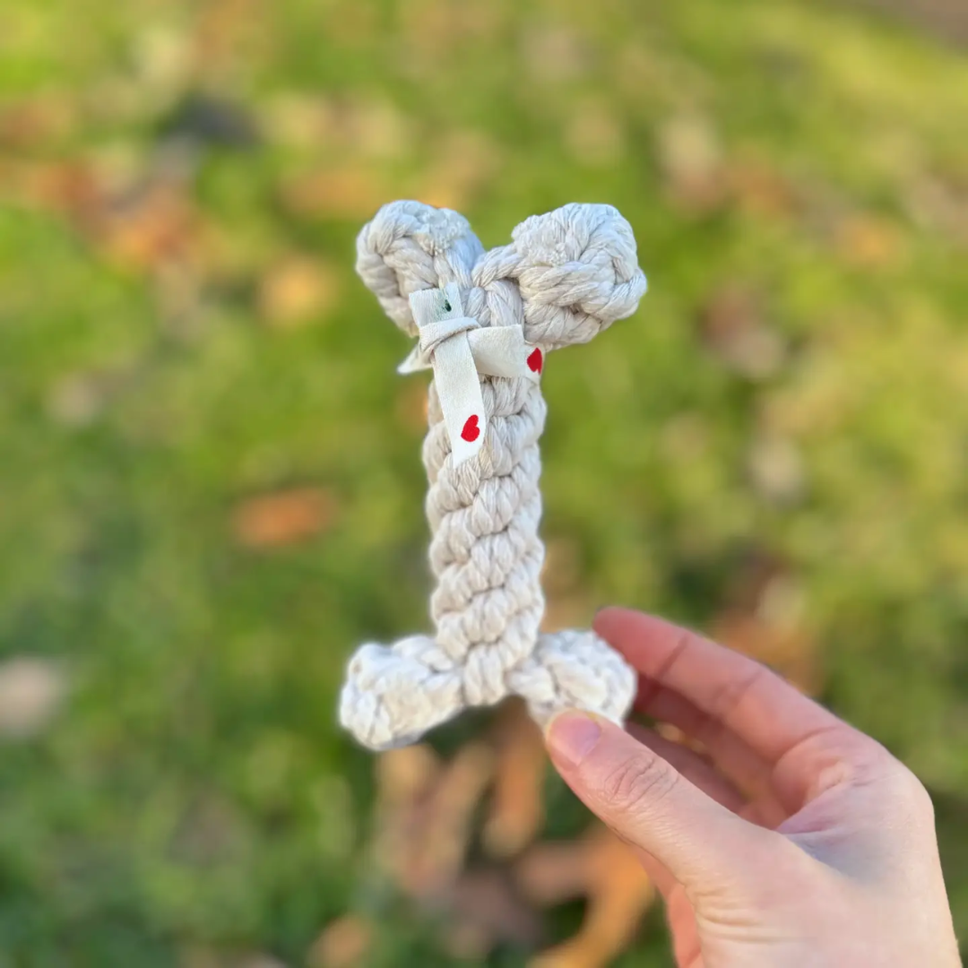 Hand holding a knitted dog toy shaped like a bunny with a blurred green background