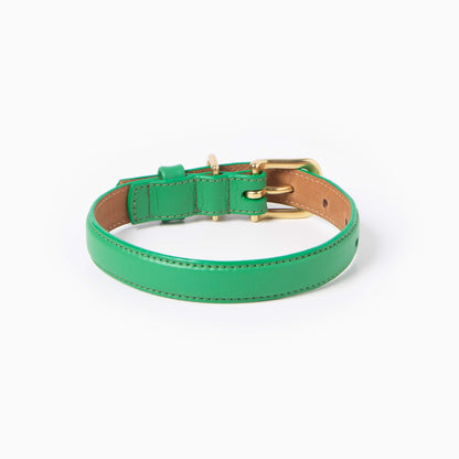 Green leather dog collar with a gold buckle on a white background
