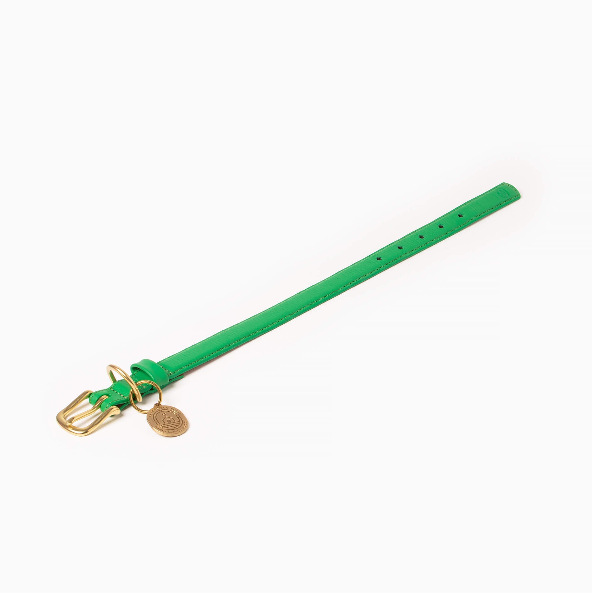 Green collar with gold buckle on a white background
