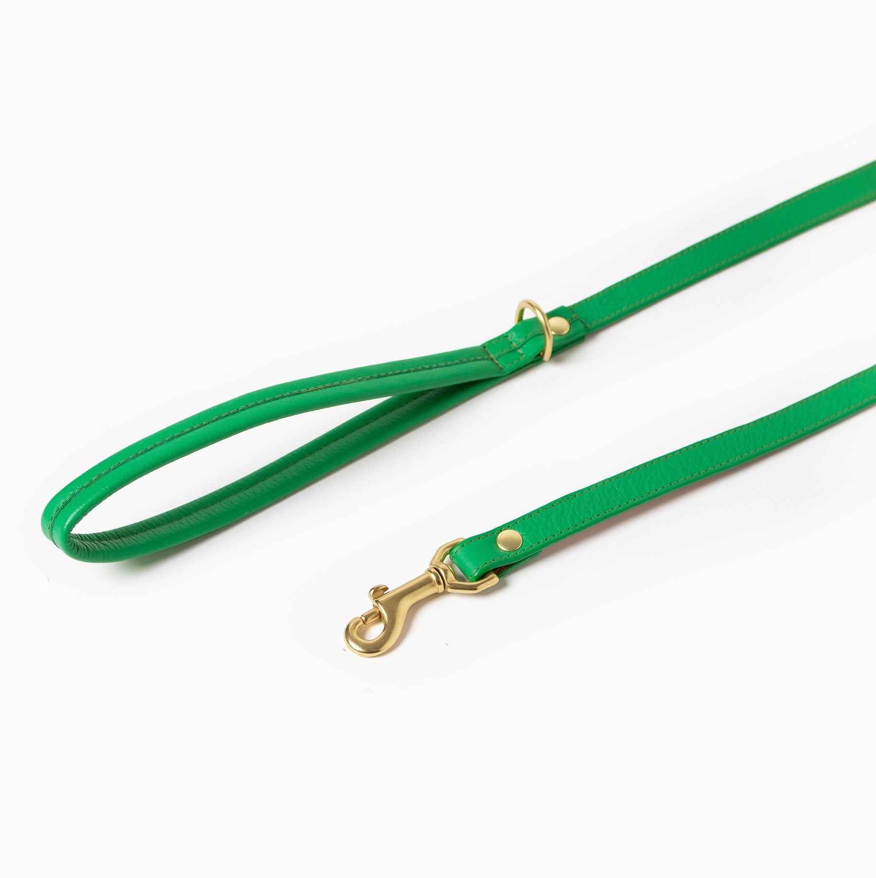 Spring Leash Leather in Green